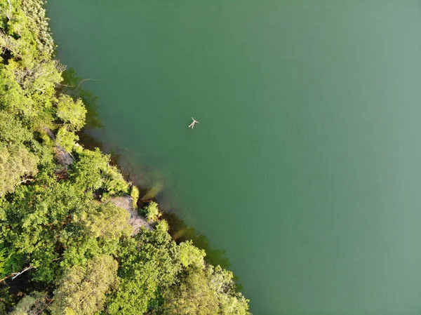 Aerial View Swimming Woman Clear Emerald Green Lake Boetzsee — Stock Photo, Image