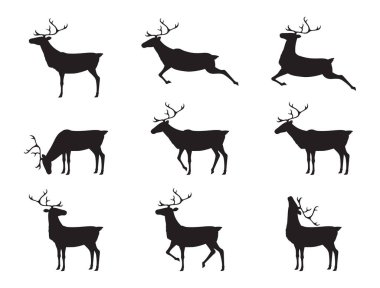 grafik geyikler, vektör