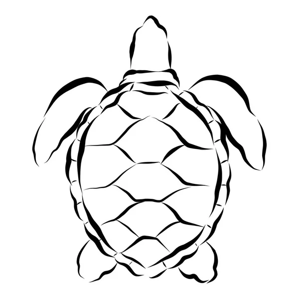 Grafikus tengeri teknős, lapos stílusú, vektor — Stock Vector