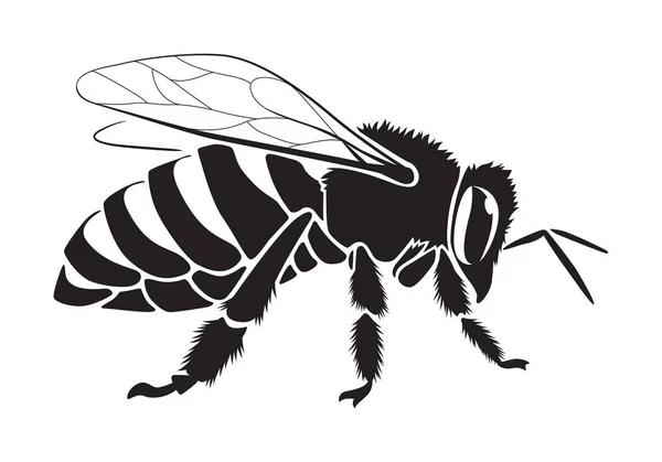 Графическая пчела, вектор — стоковый вектор