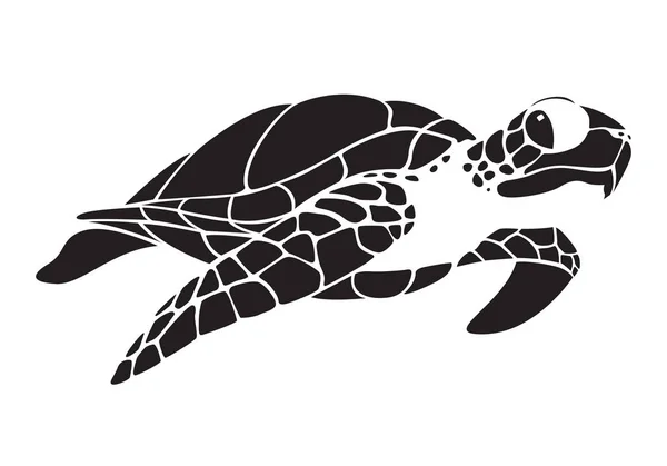 Tortuga gráfica, vector — Vector de stock