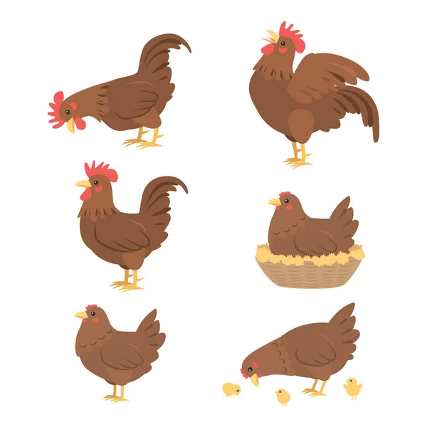 卡通公鸡和母鸡，矢量 — 图库矢量图片