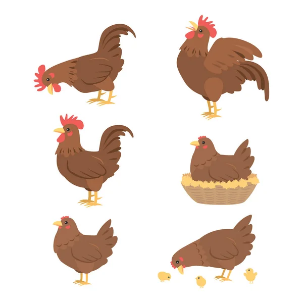 karikatür horoz ve hen, vektör