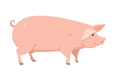 karikatür domuz, vektör