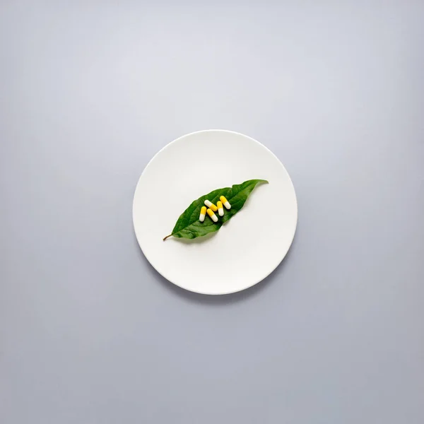 Concepto Creativo Foto Píldoras Hoja Que Pone Plato Sobre Fondo —  Fotos de Stock