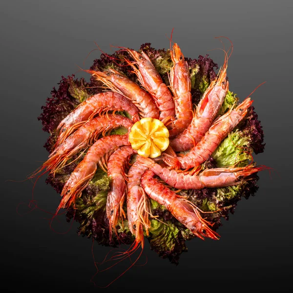 Creative Concept Photo Sea Food Shrimps Prawns Plate Salad Black — Stock Photo, Image