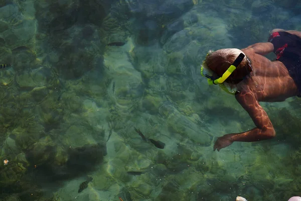 Top view of the boy swimming and snorkelling in the sea with a lot of fish — Stock Photo, Image