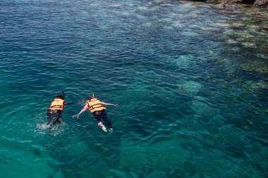Şnorkelle yüzen iki kişi, tropik açık denizde açık mavi okyanus suyuyla mercan resifi üzerinde can yeleği giyer. 