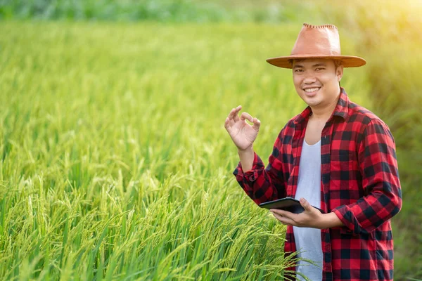 Szczęśliwi Młodzi Rolnicy Azjatyccy Korzystają Tabletu Badawczego Badają Rozwój Odmian — Zdjęcie stockowe