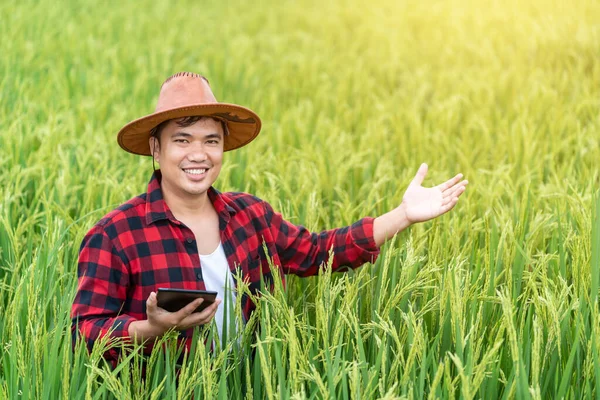Szczęśliwi Młodzi Rolnicy Azjatyccy Korzystają Tabletu Badawczego Badają Rozwój Odmian — Zdjęcie stockowe