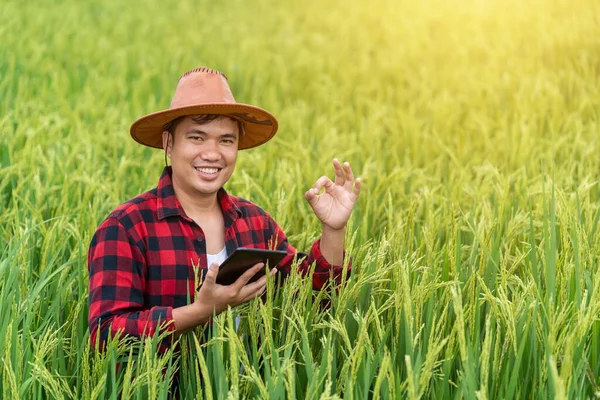 Szczęśliwi Rolnicy Azjatyccy Odnieśli Sukces Użyciu Tabletu Badawczego Zbadaniu Rozwoju — Zdjęcie stockowe