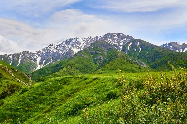 Grüne Almen Den Berghängen Mit Den Schneebedeckten Bergen Aksu Zhabagly — Stockfoto