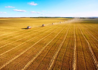 Tahıl hasat. Toplama makinaları alanında çalışan. Tarım. Biçerdöverler hava görünümünü. Buğday hasat. Biçerdöver Tarım makineleri altın buğday sahada toplama birleştirin. Yukarıdan görüntülemek.