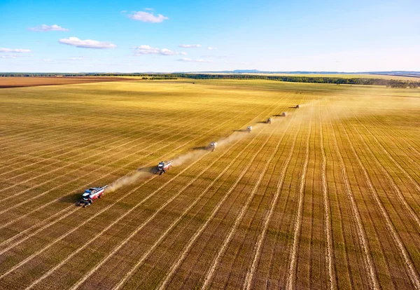 Grain Harvesting Harvester Machines Working Field Agriculture Aerial View Combine — Stock Photo, Image