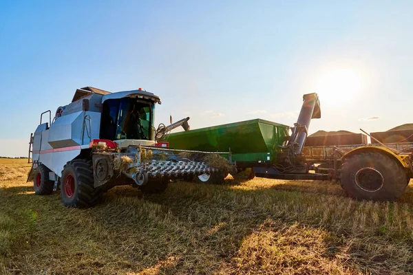 Grain Harvesting Harvester Machines Working Field Agriculture Combine Harvester Unloading — Stock Photo, Image