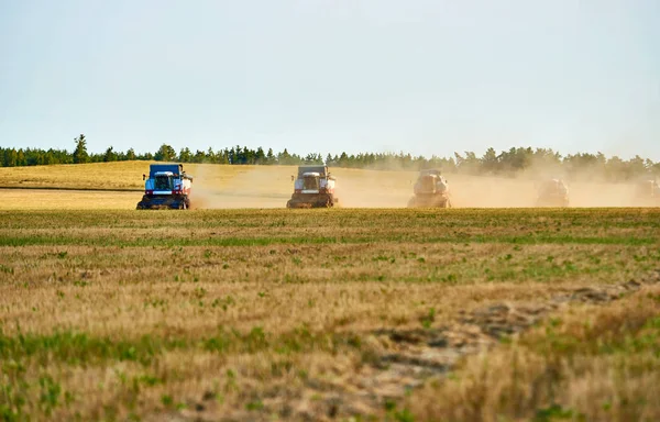 Grain Harvesting Harvester Machines Working Field Agriculture Combine Harvesters Working — Stock Photo, Image