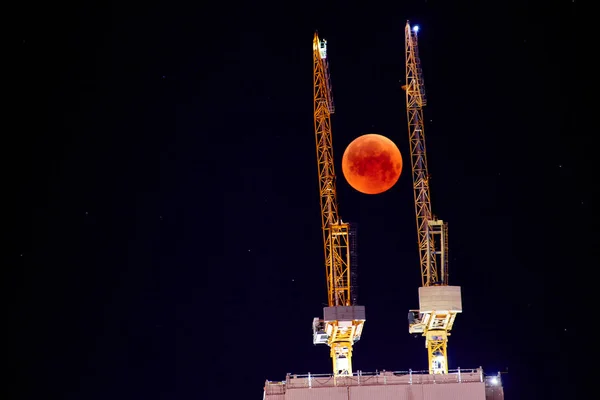 Grue Construction Sur Fond Une Pleine Lune Rouge Lune Rouge — Photo