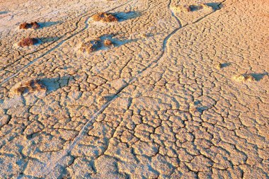 Akzhar Dağları 'nda Arid arazi yakın Akzhar dağlarda tebeşir oluşumları merkezi Kazakistan bulunmaktadır.