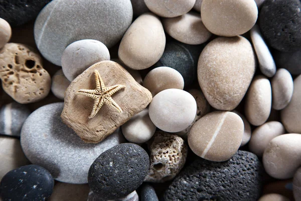 Beautiful Background Sea Stones Starfish — Stock Photo, Image