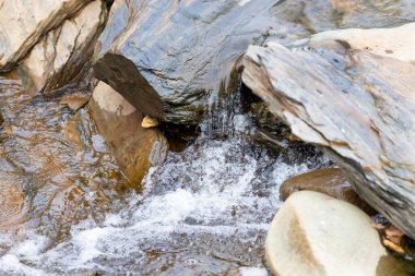 Düz kayaların üzerinden akan sakin bir akarsu, su taşların etrafında huzur dolu doğal bir ortamda hareket ederken küçük sıçramalar yaratıyor.