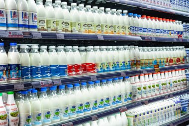 Minsk, Belarus, 22 Mart 2019: Birçok farklı marka gösterinin bir raf bir süpermarkette Satılık süt şişe