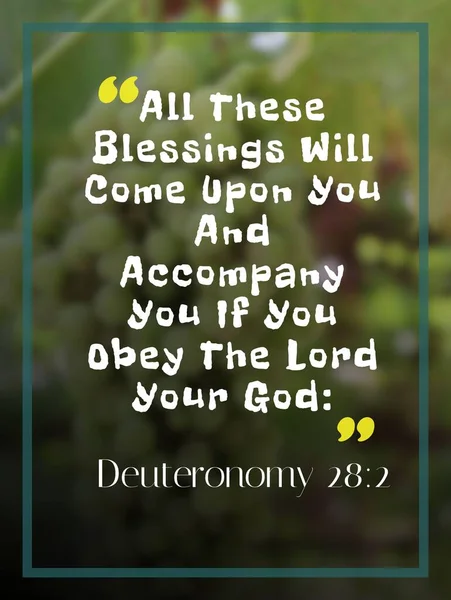 Bible verses deuteronomy 28:2 \