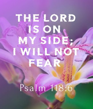 Bible Words  Psalm 118:6 