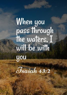 Bible Verses about Trust 