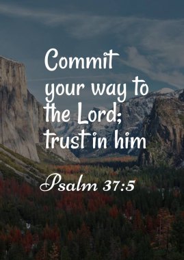 Bible Verses about Trust 