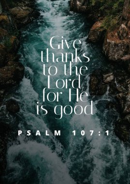 Bible Verses about  Gratitude & Generosity 