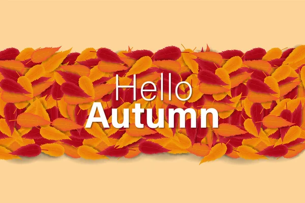 Autumn Sale Hintergrund Mit Handgezeichnetem Autumn Text Und Blättern Drumherum — Stockvektor