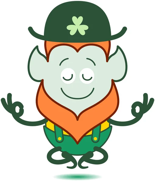 Saint Patrick Day Leprechaun Red Beard Pointy Ears Folkloric Hat — ストック写真