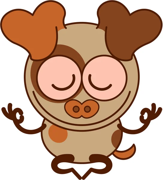 Nice Brown Puppy Brown Fur Hanging Ears While Doing Gyan — Stock Photo, Image