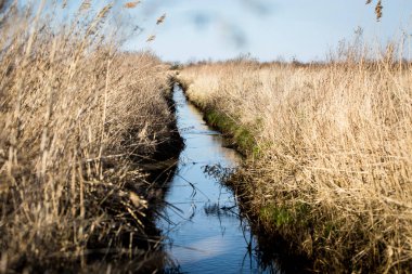 Tarlalar arasında bir nehir