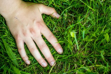 Yeşil çimlerde bir el