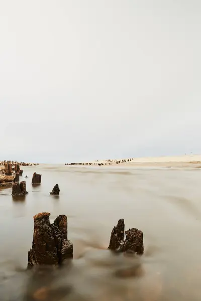 Palos Línea Flotación Playa —  Fotos de Stock