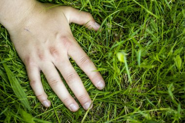 Yeşil çimlerde bir el