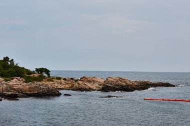 Rocky Adası 'ndaki ağaçlar, kayalar ve okyanus.