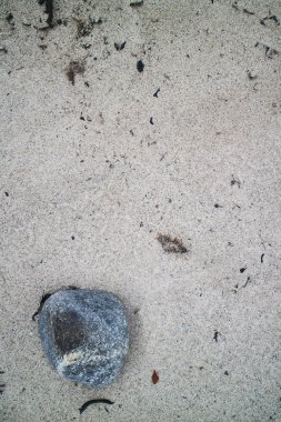 Kumsaldaki kumsalda deniz kabukları ve kayalar