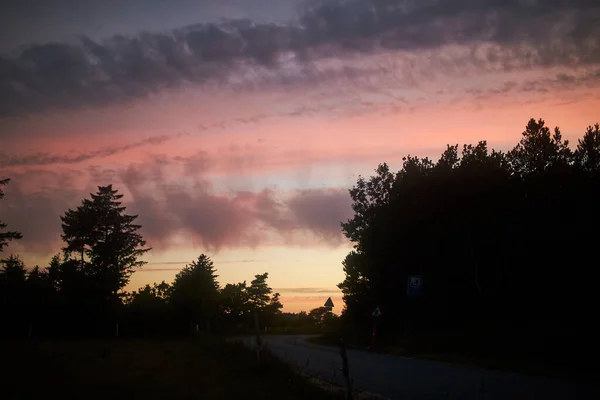 Uma Silhueta Floresta Pôr Sol — Fotografia de Stock