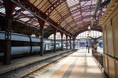 Tren istasyonunda bir tren.