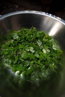 Bir kasede dört yapraklı yonca