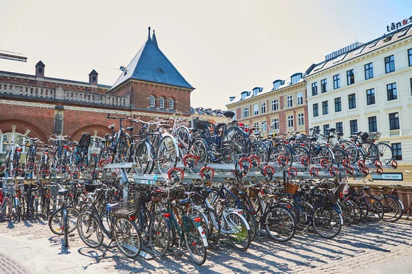 一排排的自行车 — 图库照片