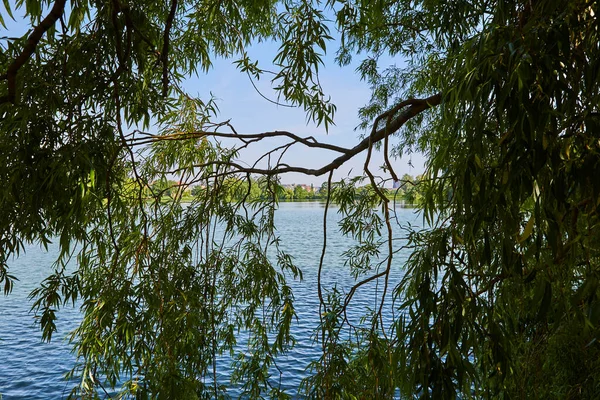 Uma Vista Através Das Árvores — Fotografia de Stock