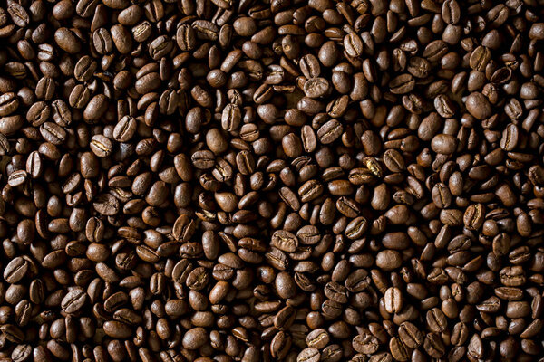 Closeup of coffee beans