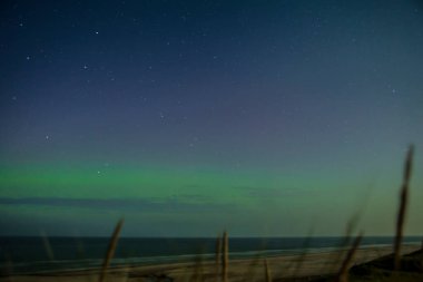 Koyu yeşil ve mavi gökyüzü