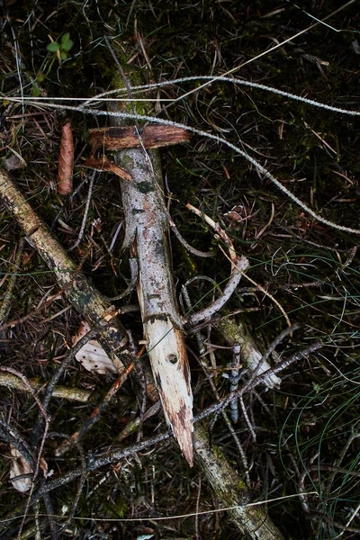 Nagy Pálcikák Ágak Földön Erdőben — Stock Fotó