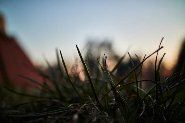 Puesta Sol Fondo Camping — Foto de Stock