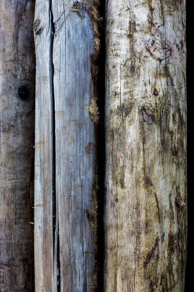 Zbliżenie Drzew Kłód Układających Się Przeciwko Sobie — Zdjęcie stockowe
