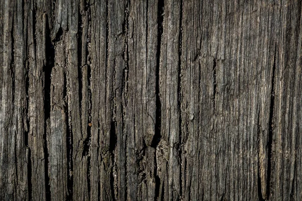 Gros Plan Une Vieille Planche Bois Rustique — Photo